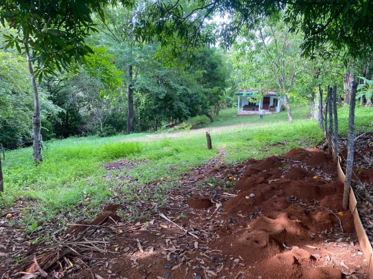 Titled 3,919.5 m² Property for Sale in Santa Catalina, Veraguas – Walking Distance to the Beach