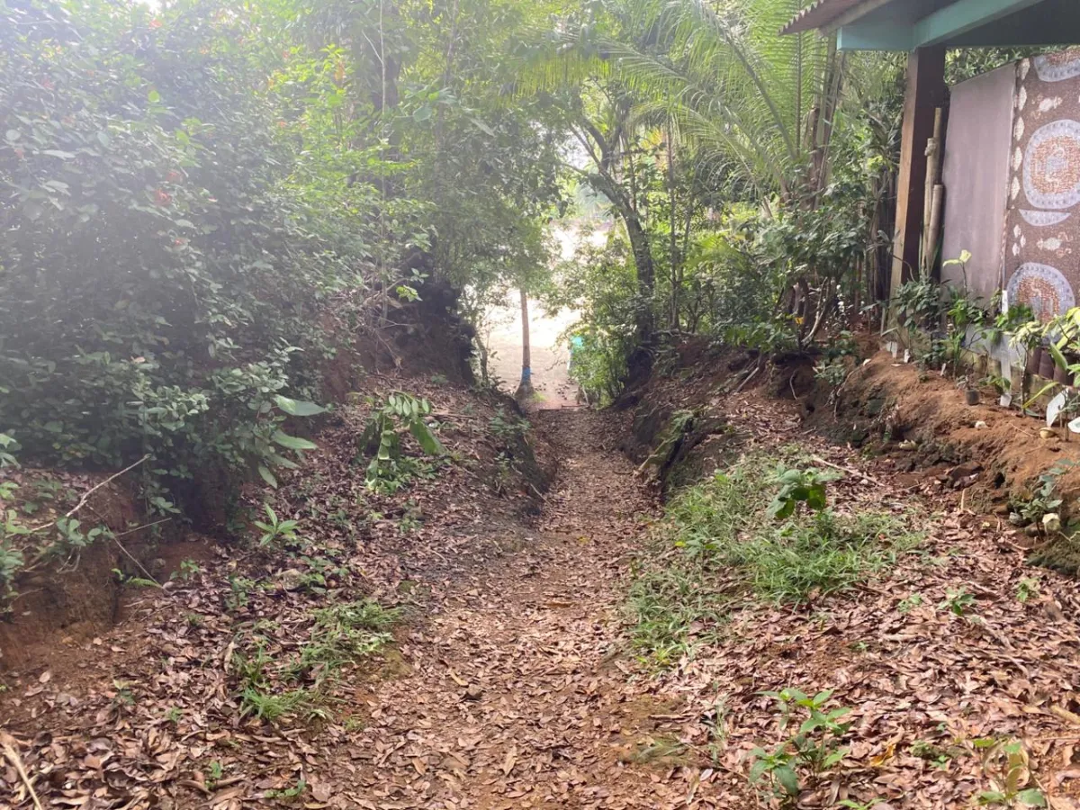 Titled 3,919.5 m² Property for Sale in Santa Catalina, Veraguas – Walking Distance to the Beach