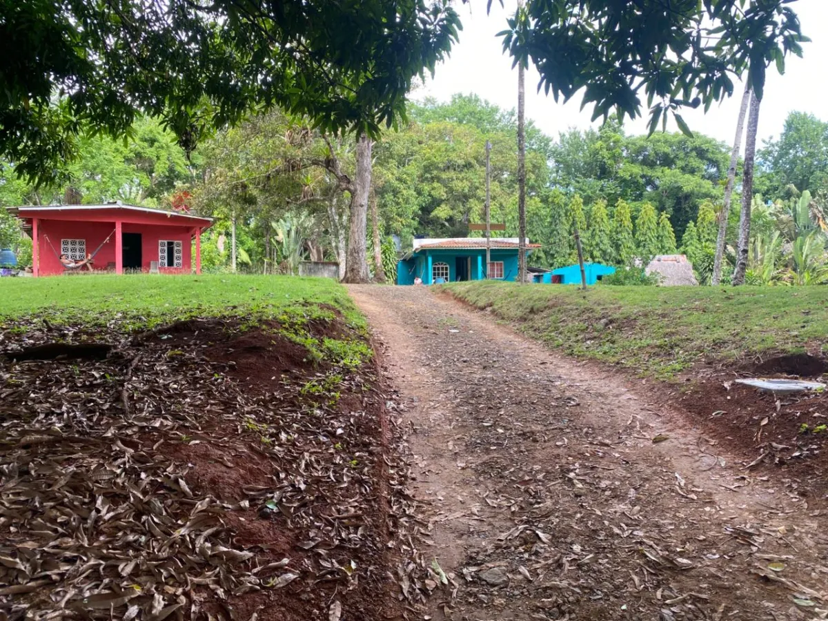 Titled 3,919.5 m² Property for Sale in Santa Catalina, Veraguas – Walking Distance to the Beach