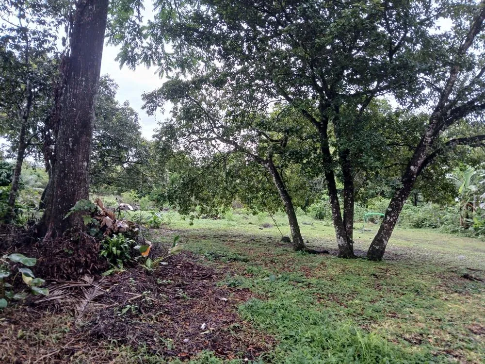 Lote Plano de 5,760 m² en Venta en El Francés, Boquete