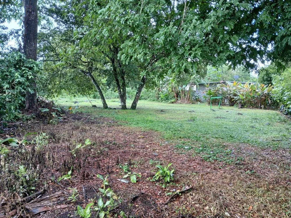 Lote Plano de 5,760 m² en Venta en El Francés, Boquete