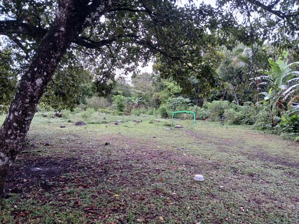 Lote Plano de 5,760 m² en Venta en El Francés, Boquete
