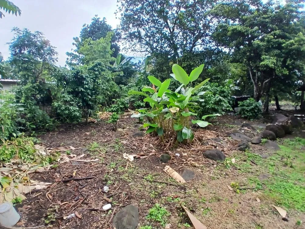 Lote Plano de 5,760 m² en Venta en El Francés, Boquete