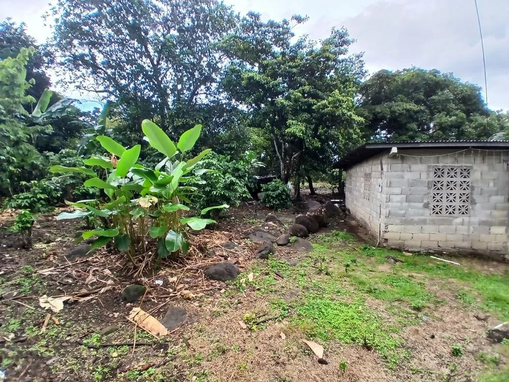 Lote Plano de 5,760 m² en Venta en El Francés, Boquete