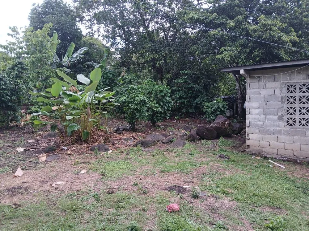 Lote Plano de 5,760 m² en Venta en El Francés, Boquete