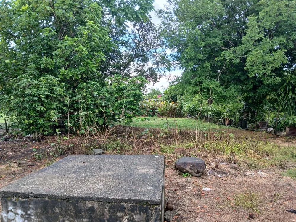 Lote Plano de 5,760 m² en Venta en El Francés, Boquete