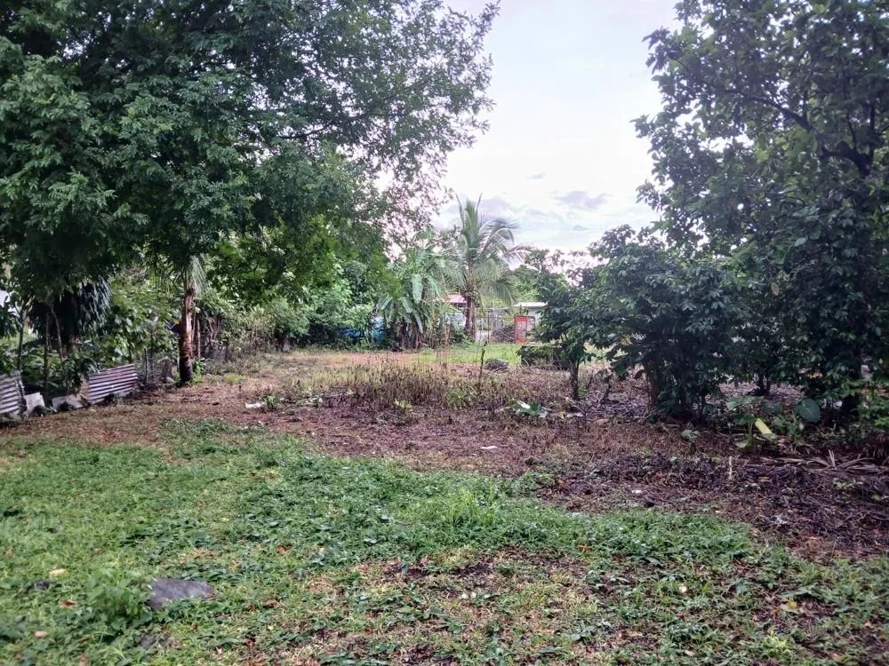Lote Plano de 5,760 m² en Venta en El Francés, Boquete