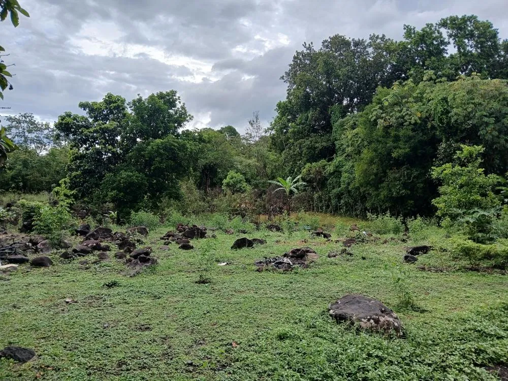 Lote Plano de 5,760 m² en Venta en El Francés, Boquete