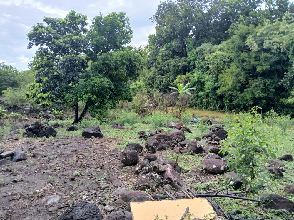 Lote Plano de 5,760 m² en Venta en El Francés, Boquete