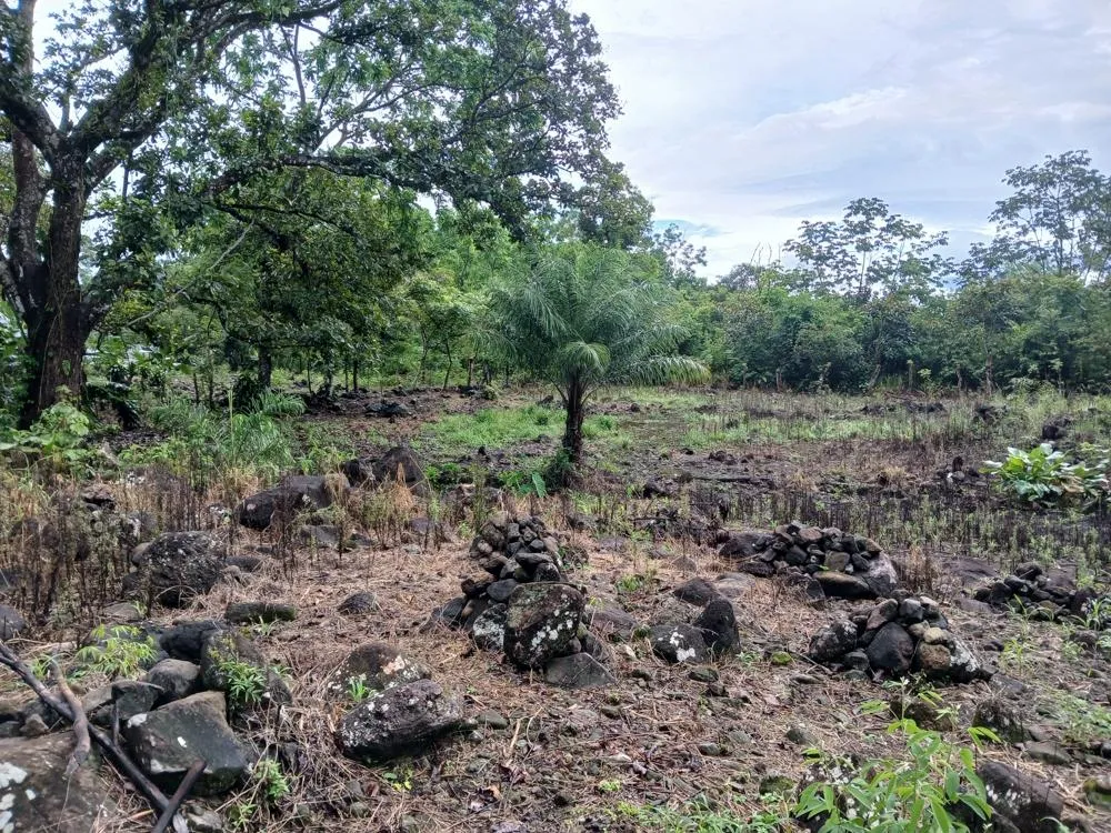 Lote Plano de 5,760 m² en Venta en El Francés, Boquete