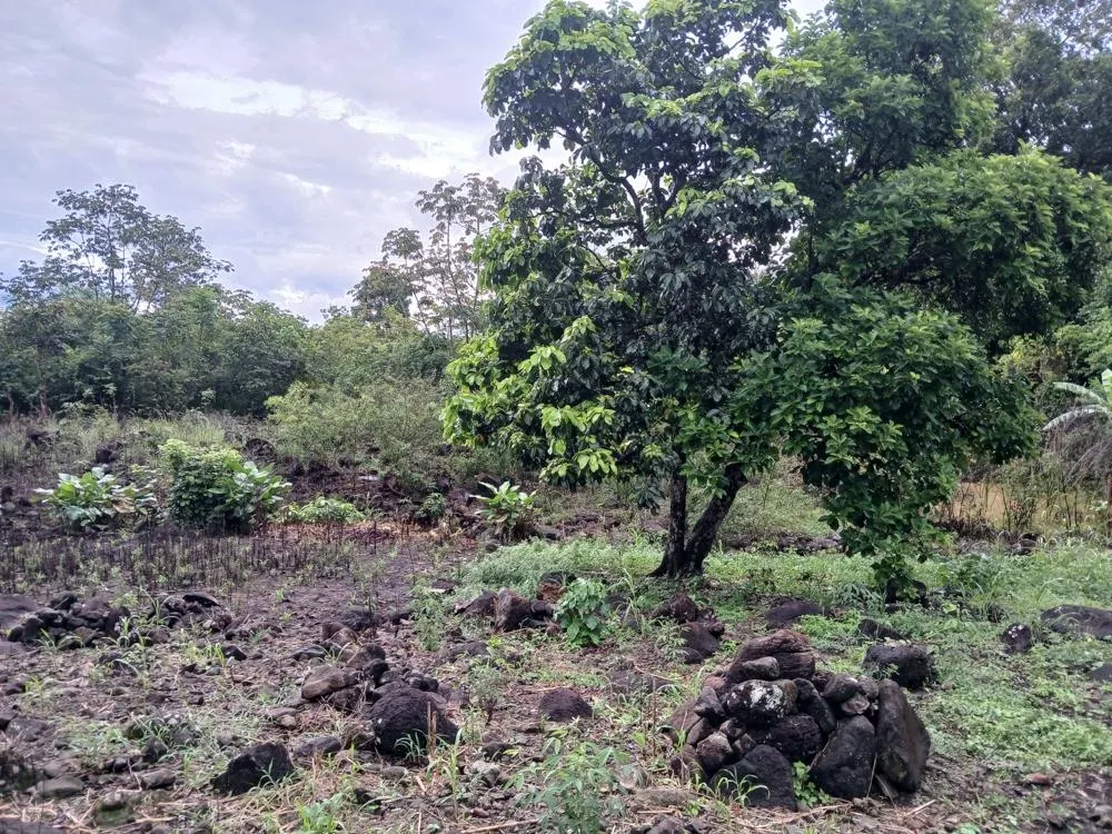 Lote Plano de 5,760 m² en Venta en El Francés, Boquete