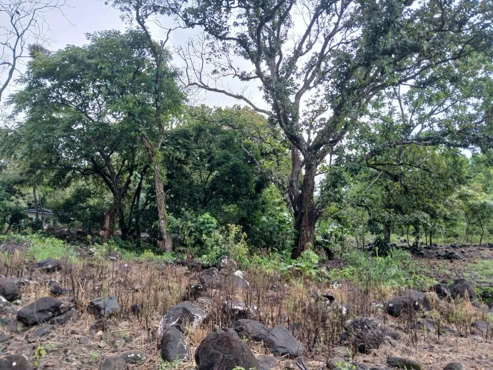 Lote Plano de 5,760 m² en Venta en El Francés, Boquete