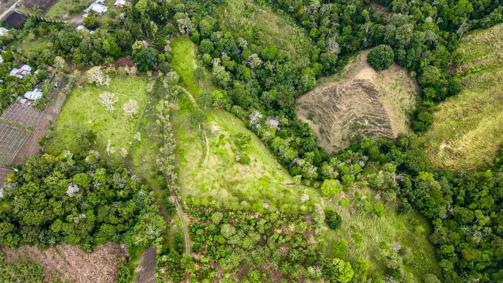 Finca Cafetalera en Venta en Potrerillos Arriba