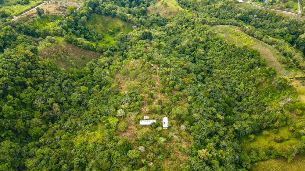 Finca Cafetalera en Venta en Potrerillos Arriba