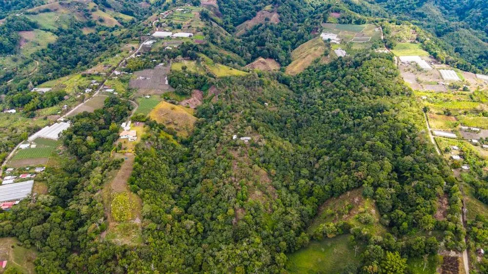 Finca Cafetalera en Venta en Potrerillos Arriba