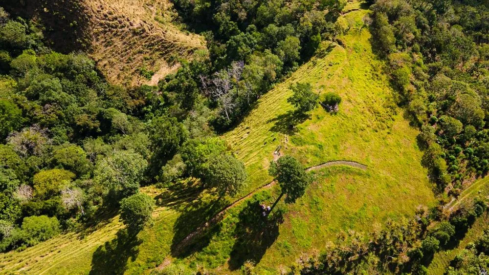 Finca Cafetalera en Venta en Potrerillos Arriba