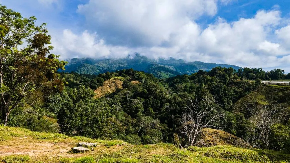 Finca Cafetalera en Venta en Potrerillos Arriba