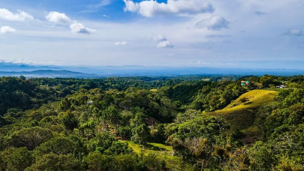 Finca Cafetalera en Venta en Potrerillos Arriba