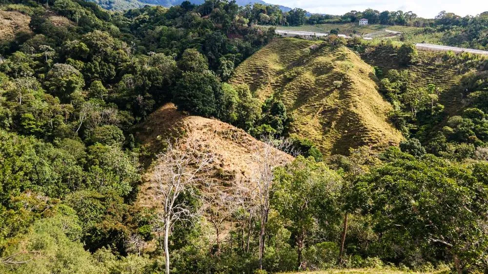 Finca Cafetalera en Venta en Potrerillos Arriba