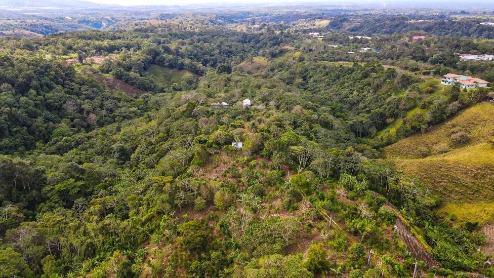 Finca Cafetalera en Venta en Potrerillos Arriba