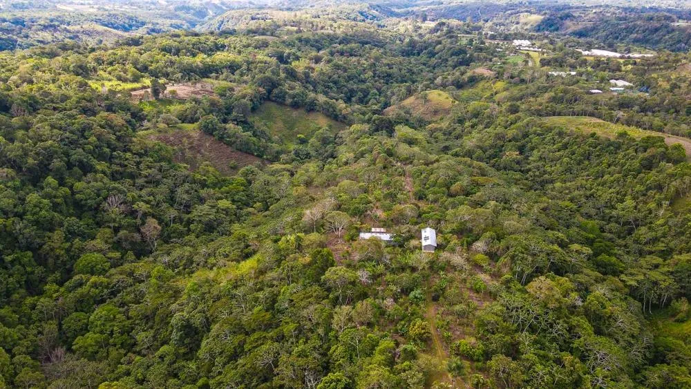 Finca Cafetalera en Venta en Potrerillos Arriba