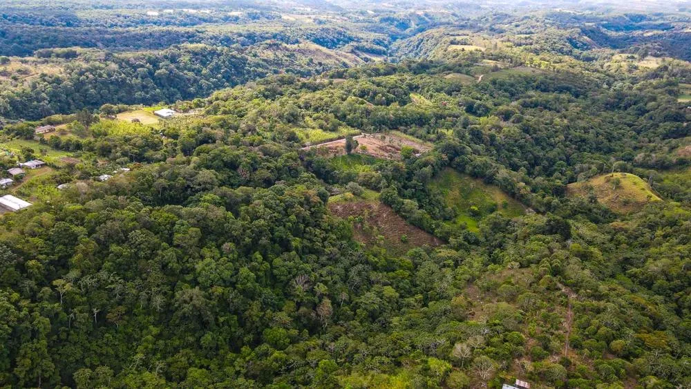 Finca Cafetalera en Venta en Potrerillos Arriba