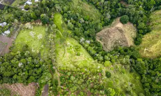 Finca Cafetalera en Venta en Potrerillos Arriba