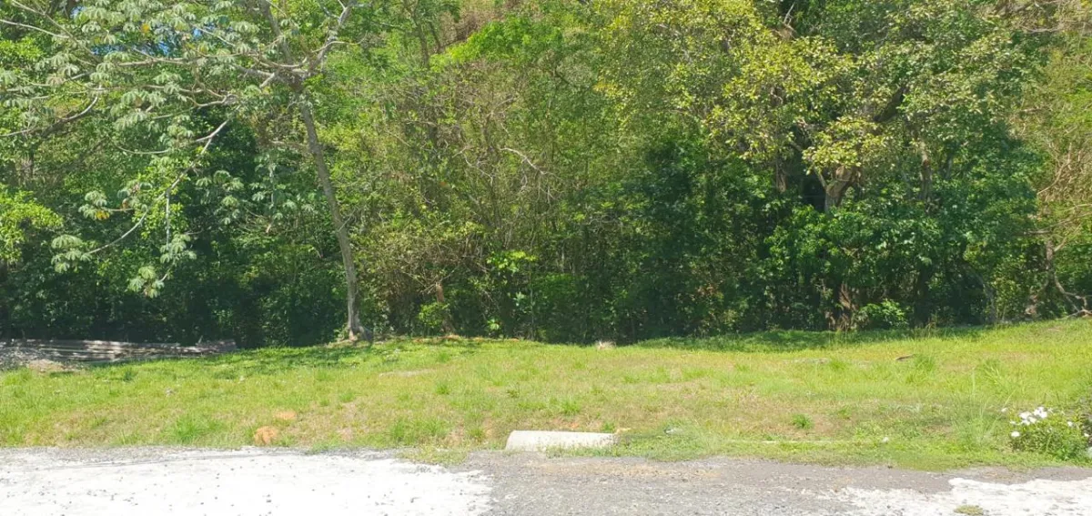 Land for Sale in Villa Natalia Development