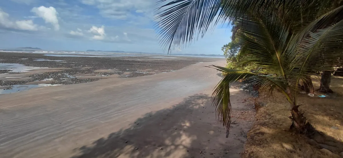 屋 在 Chiriqui 出售