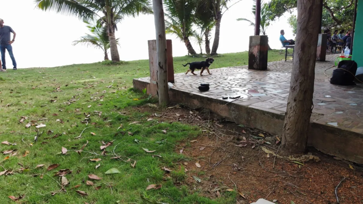 屋 在 Chiriqui 出售