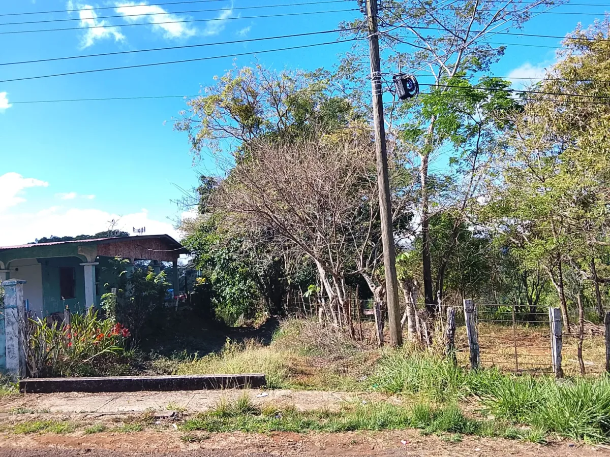 Sale of Commercial Land in Tole