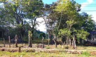 Sale of Commercial Land in Tole