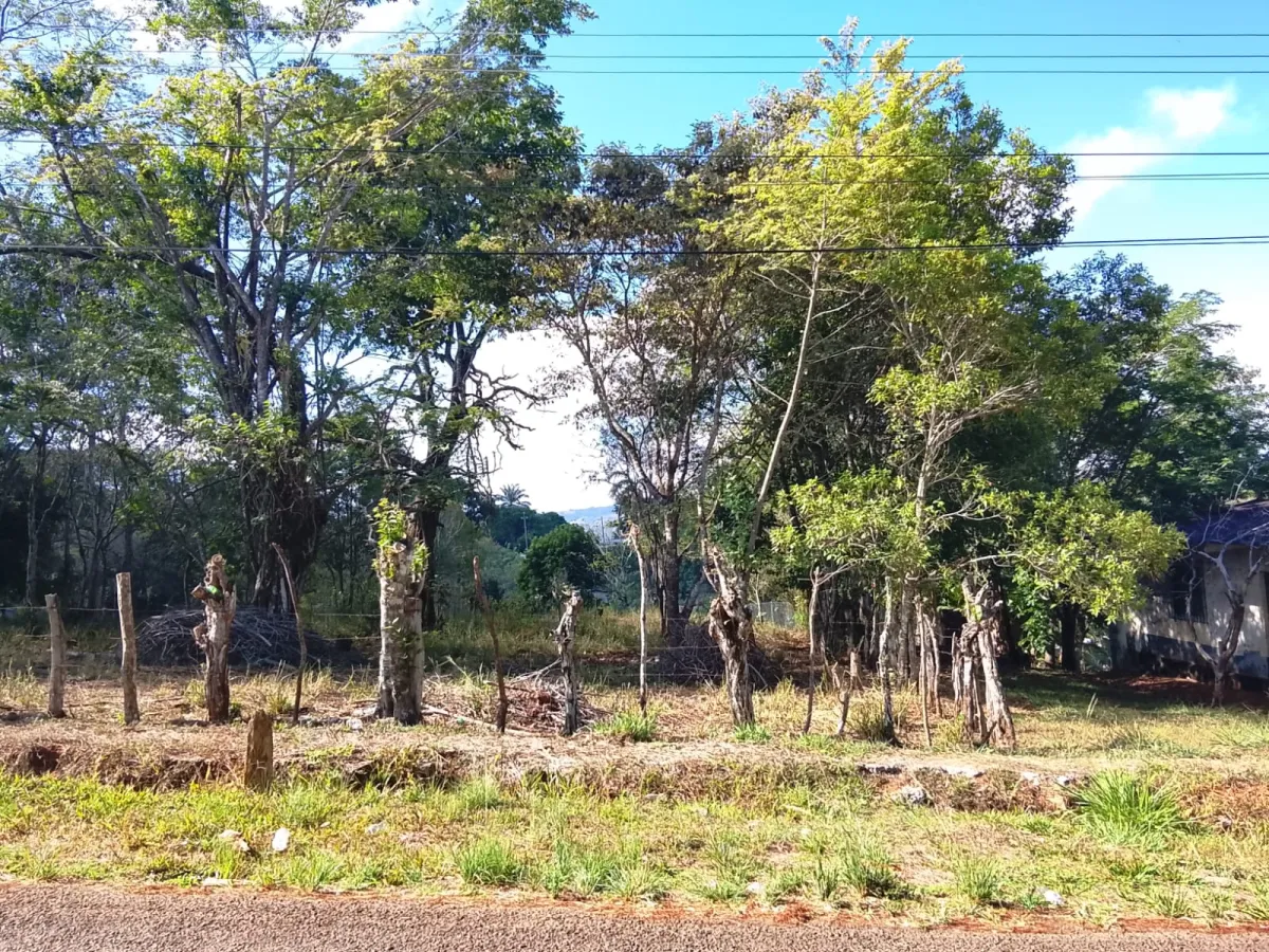 Sale of Commercial Land in Tole