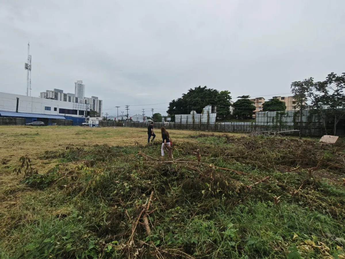 Venta de Terreno Comercial en Ave. Jose Agustin Arango