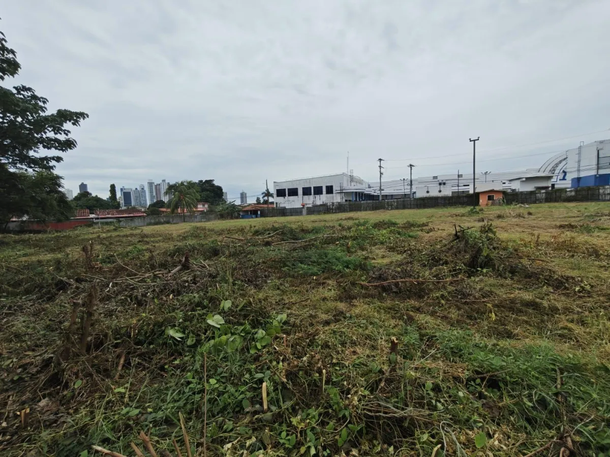 Venta de Terreno Comercial en Ave. Jose Agustin Arango