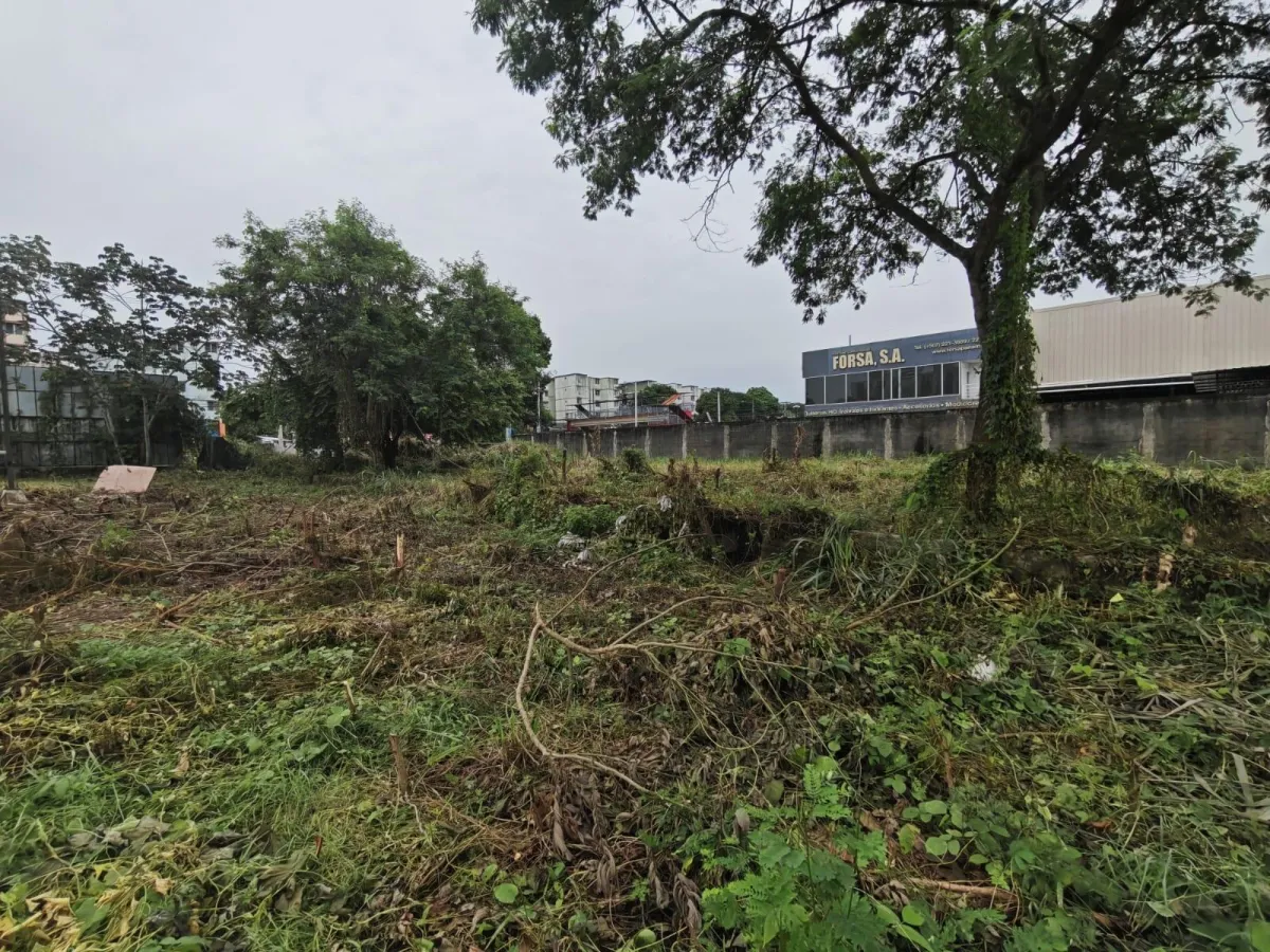 Venta de Terreno Comercial en Ave. Jose Agustin Arango