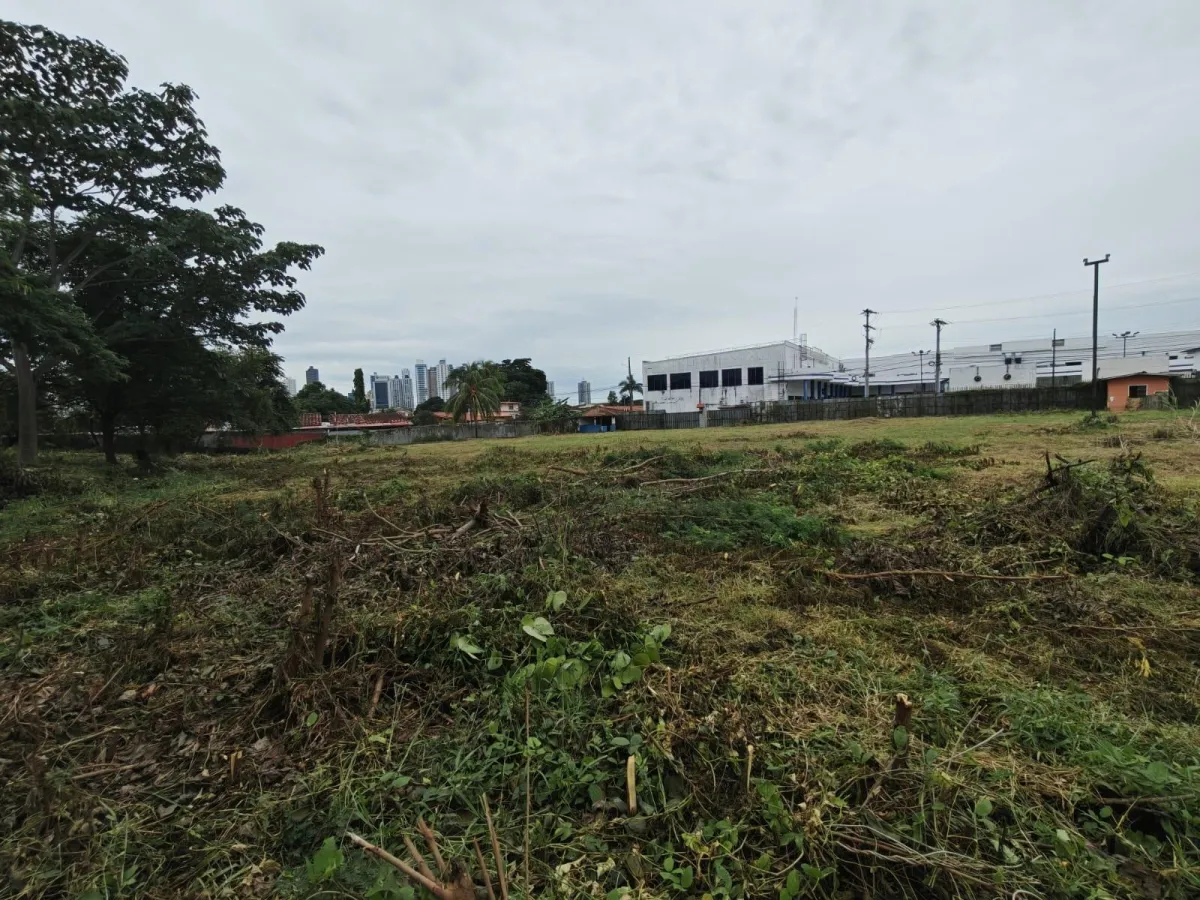 Venta de Terreno Comercial en Ave. Jose Agustin Arango