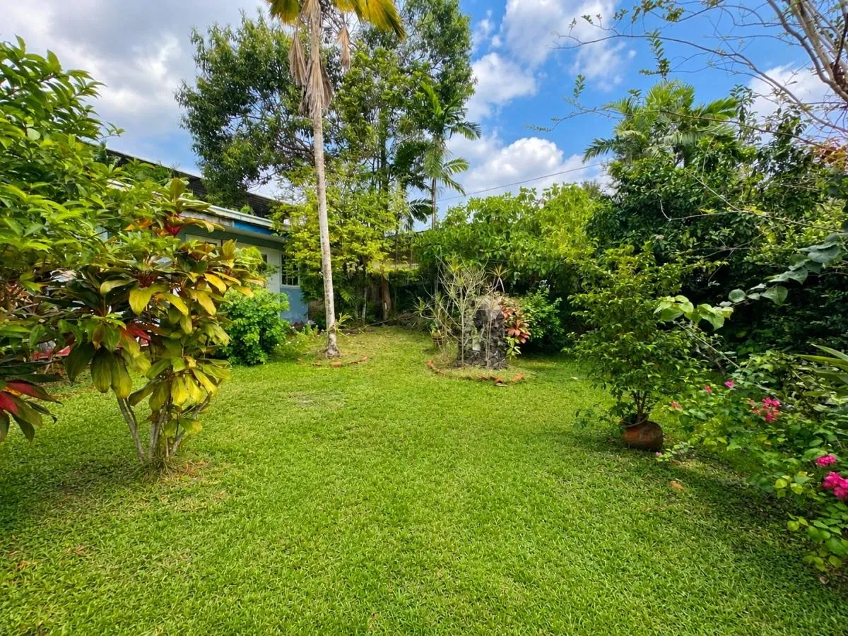 1,556 m² in Las Cumbres for Only $215,000
