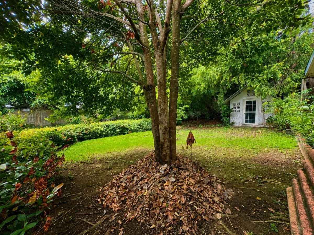 1,556 m² in Las Cumbres for Only $215,000