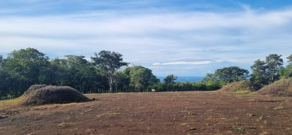 Flat Lot with Ocean and Volcán Barú Views