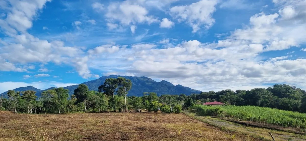 Flat Lot with Ocean and Volcán Barú Views