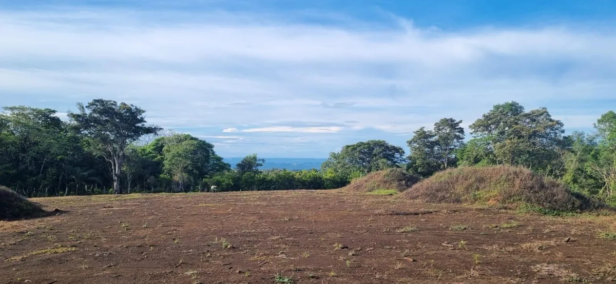 Flat Lot with Ocean and Volcán Barú Views