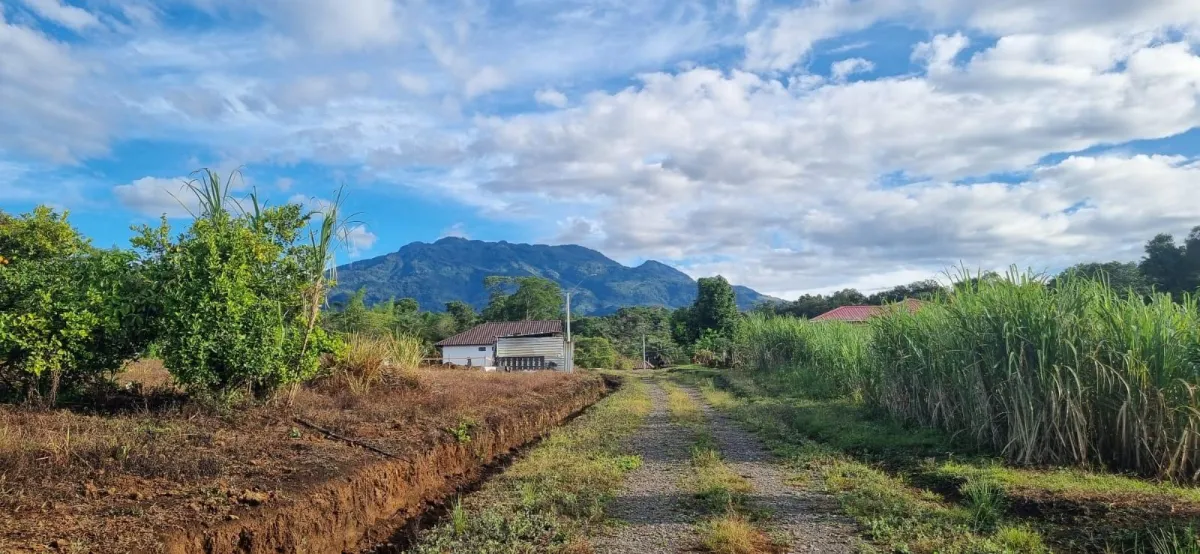 Flat Lot with Ocean and Volcán Barú Views