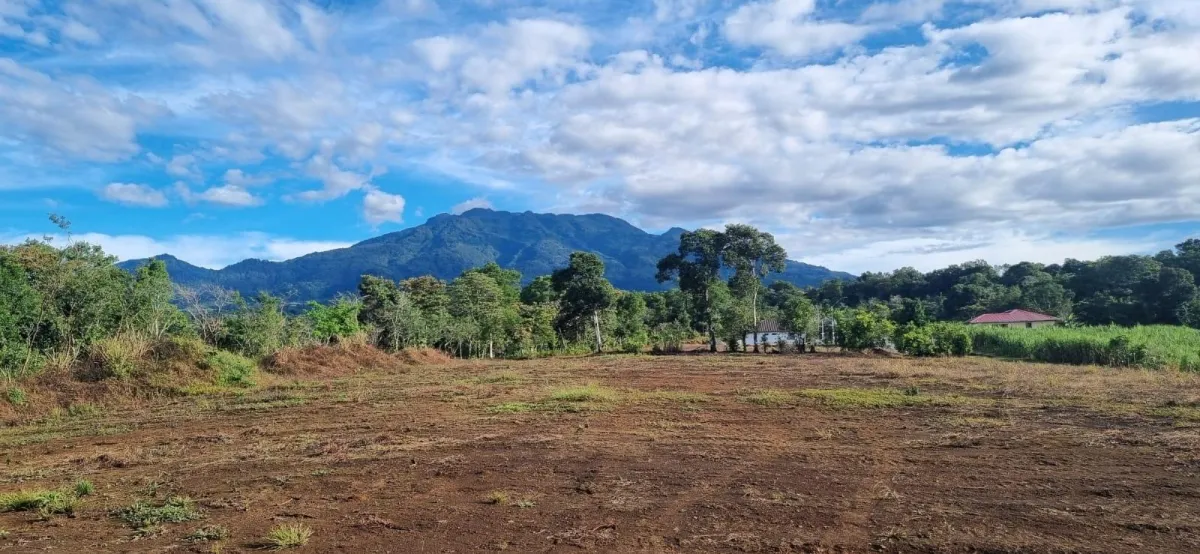 Flat Lot with Ocean and Volcán Barú Views