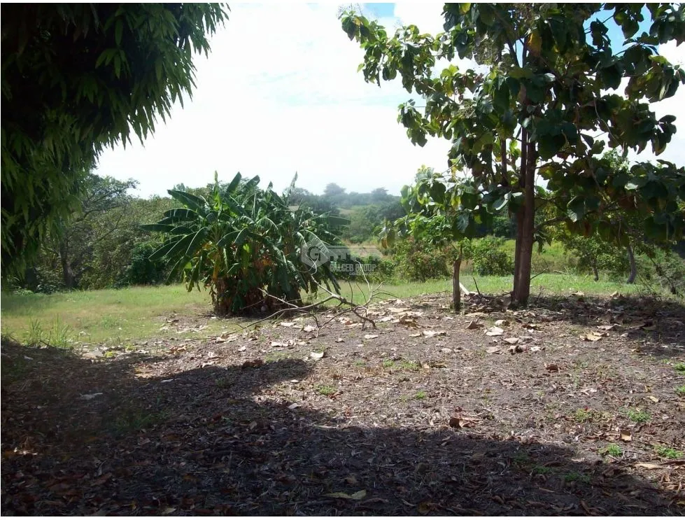 SE VENDE TERRENO EN CORONADO 1543 M2 CON VIA ASFALTADA