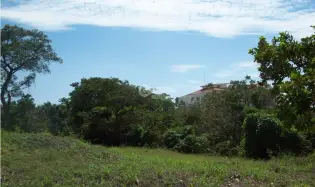 Terrain à bâtir à Chame à vendre