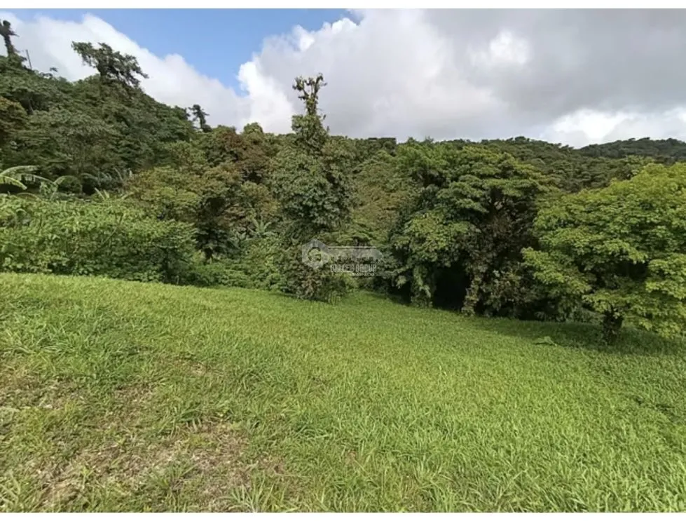 Land for Sale in Chame Altos de Maria - 1314 M2 Near Waterfall