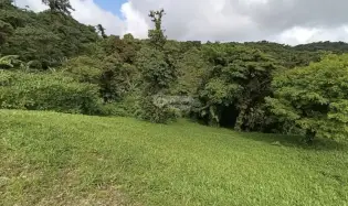 Terrain à bâtir à Chame à vendre