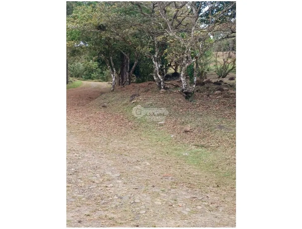Terrain à bâtir à Chame à vendre