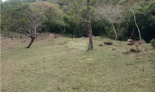Terrain à bâtir à Chame à vendre